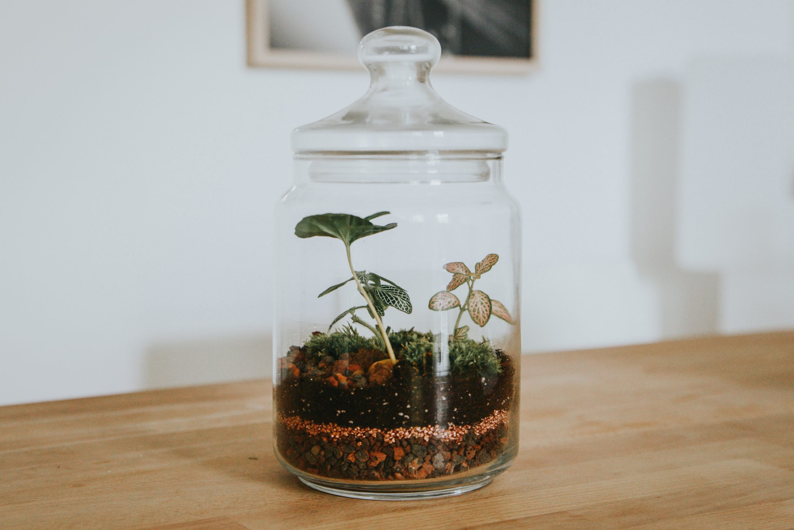 Taller de jardines eternos